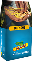 dekalb kukorica vetőmag katalógus 2018 ford