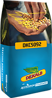 509 DKC