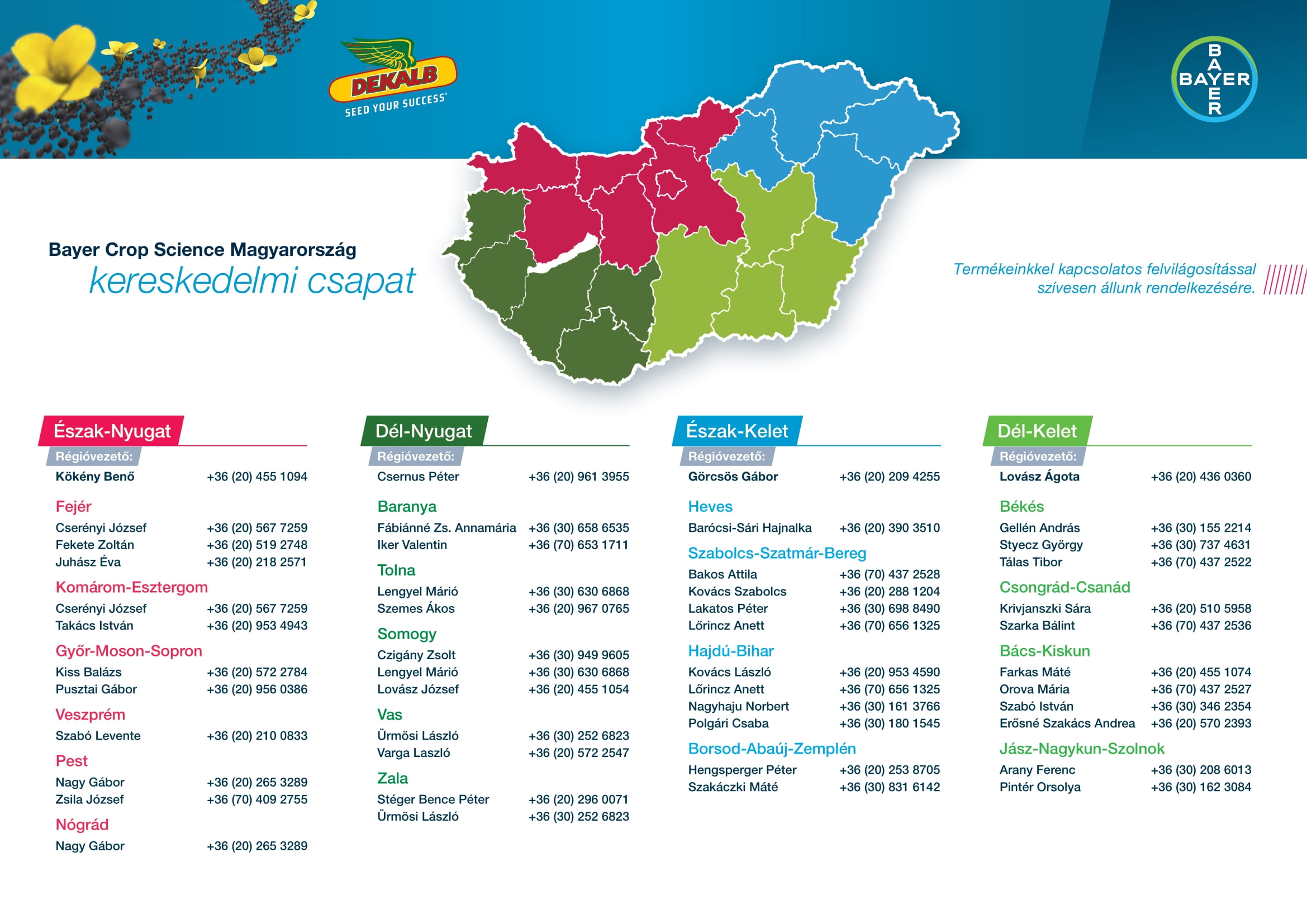 Equipo de ventas