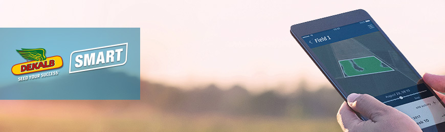 DEKALB® SMART DIGITÁLIS ESZKÖZ