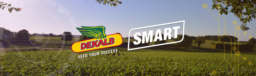 DEKALB SMART PLANTING – Használja ki növényei számára a változó tőszámban rejlő erőt!