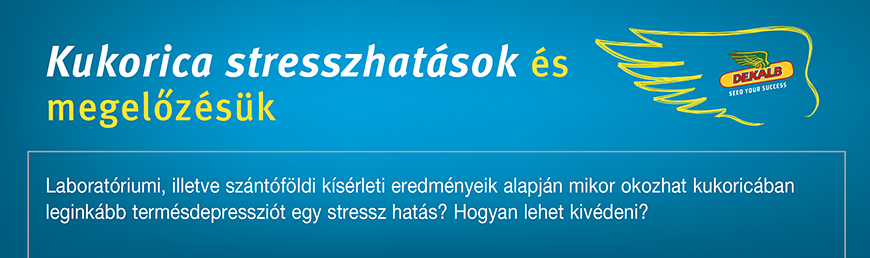 Kukorica termésdepresszió