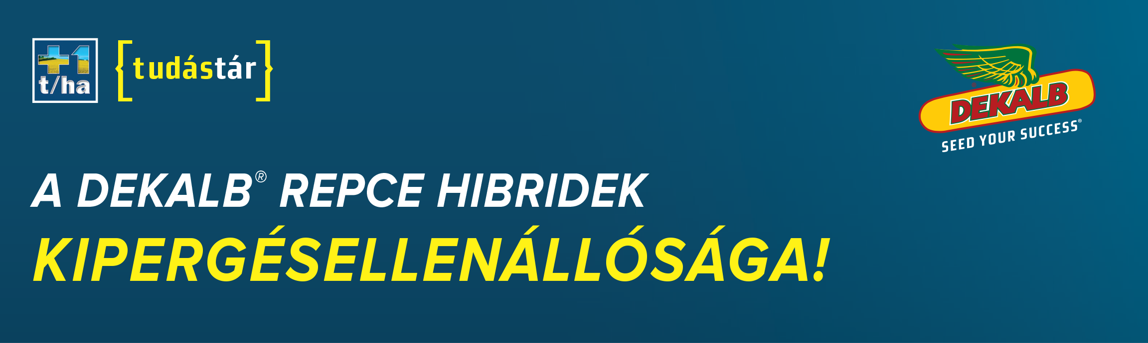 Dekalb repce hibridek kipergésellenállósága