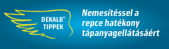 Nemesítéssel a repce hatékony tápanyagellátásáért